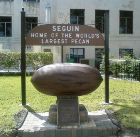 Worlds Largest Pecan statue in front of Seguin City Hall.