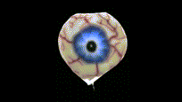 Eye